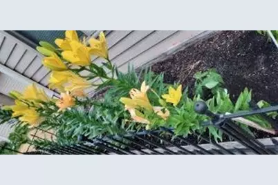 948 Southern Ridge Drive SW, Rochester, MN 55902 - Photo 33