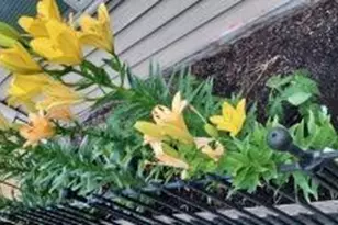 948 Southern Ridge Dr SW, Rochester, MN 55902 - Photo 33