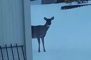 948 Southern Ridge Dr SW, Rochester, MN 55902 - Photo 29