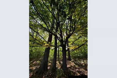 7495 Fern Court, Loretto, MN 55357 - Photo 5