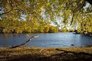 14985 Riverview Ln N, Dayton, MN 55327 - Photo 43