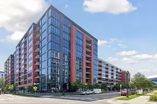 215 10th Ave S, Minneapolis, MN 55415 - Photo 3