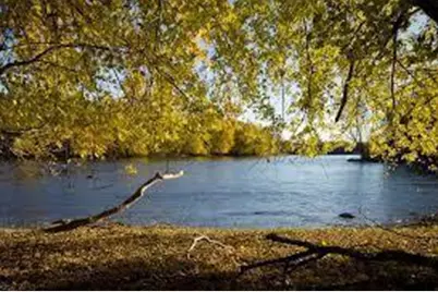 14916 Riverview Lane N, Dayton, MN 55327 - Photo 41