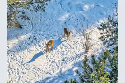 Xxx 143rd (Lot 2) Avenue, Somerset, WI 54025 - Photo 11