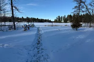 4203 14th Ave NW, Hackensack, MN 56452 - Photo 9