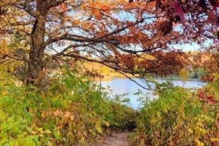 695 Rosa Ct, Eagan, MN 55123 - Photo 63