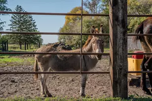 5445 157 St S, Glyndon, MN 56547 - Photo 11
