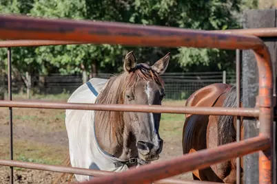 5445 157th Street S, Glyndon, MN 56547 - Photo 9
