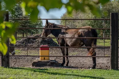 5445 157th Street S, Glyndon, MN 56547 - Photo 17