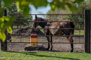 5445 157 St S, Glyndon, MN 56547 - Photo 17