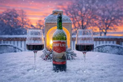 29430 Endress Way, Cannon Falls, MN 55009 - Photo 3