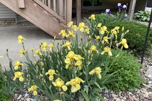 5420 Greens Dr NW, Rochester, MN 55901 - Photo 29