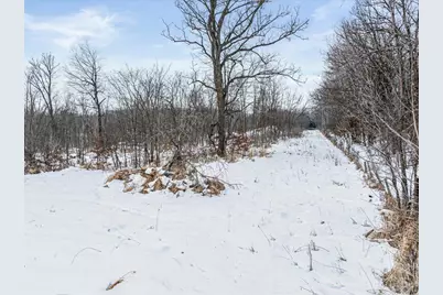 Tbd Highway 27, Swanville, MN 56382 - Photo 27