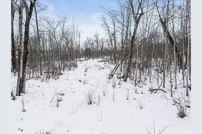 Tbd Highway 27, Swanville, MN 56382 - Photo 21