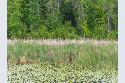 Tbd E Cree Bay Circle, Pequot Lakes, MN 56472 - Photo 5