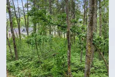 Tbd E Cree Bay Circle, Pequot Lakes, MN 56472 - Photo 9