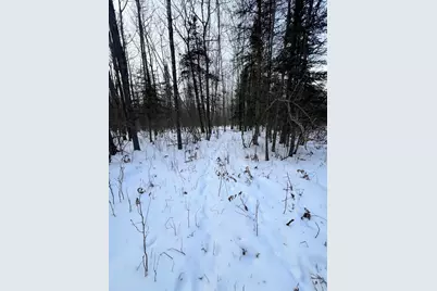 Tbd County Rd 67, Grand Rapids, MN 55744 - Photo 11