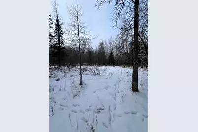 Tbd County Rd 67, Grand Rapids, MN 55744 - Photo 5