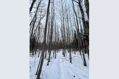 Tbd County Rd 67, Grand Rapids, MN 55744 - Photo 15