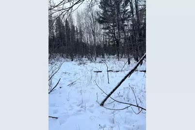 Tbd County Rd 67, Grand Rapids, MN 55744 - Photo 27