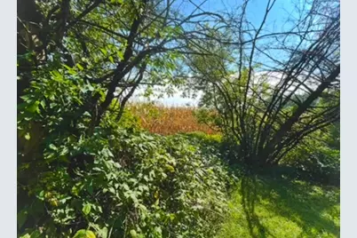 Na Na, Albert Lea, MN 56007 - Photo 21