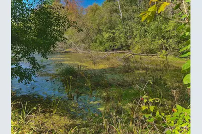 Na Na, Albert Lea, MN 56007 - Photo 17