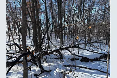 Tbd Fern Lane, Alexandria, MN 56343 - Photo 15