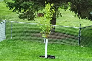 1285 Cuylle Bay, Faribault, MN 55021 - Photo 41