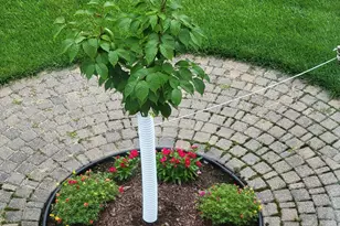 1285 Cuylle Bay, Faribault, MN 55021 - Photo 39