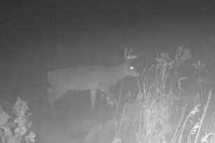 14809 110th St, Foreston, MN 56330 - Photo 13