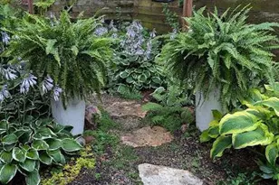 6807 Dovre Dr, Edina, MN 55436 - Photo 39