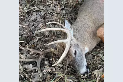 Tbd County Highway 10, Fergus Falls, MN 56537 - Photo 31