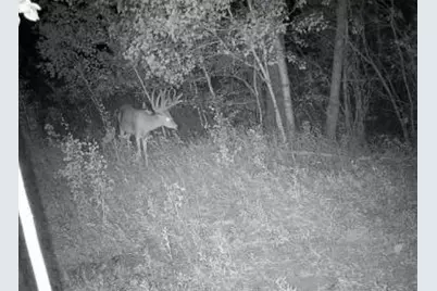 Tbd County Highway 10, Fergus Falls, MN 56537 - Photo 29