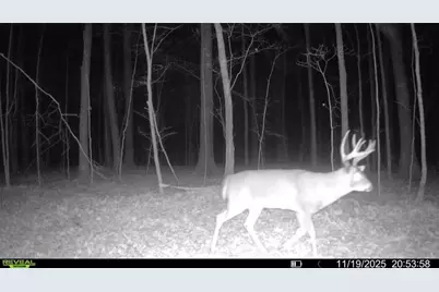 Block 5 Comet Road, Exeland, WI 54835 - Photo 11