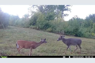 Block 5 Comet Road, Exeland, WI 54835 - Photo 15