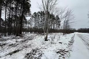 Tbd #1 Koecher Rd, Kerrick, MN 55756 - Photo 1