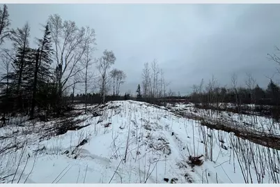 Tbd #2 Koecher Road, Kerrick, MN 55756 - Photo 9