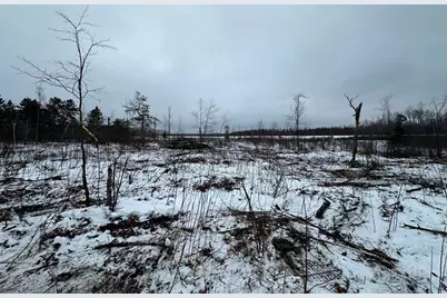 Tbd #3 Koecher Road, Kerrick, MN 55756 - Photo 13