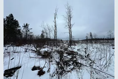 Tbd #3 Koecher Road, Kerrick, MN 55756 - Photo 9