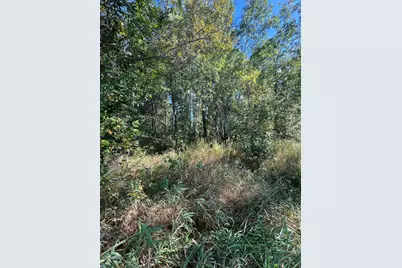 Tbd Parcel 1 E Pine Drive, Angle Inlet, MN 56711 - Photo 21