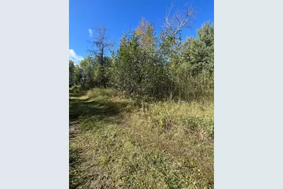Tbd Parcel 1 E Pine Drive, Angle Inlet, MN 56711 - Photo 17