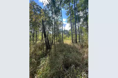 Tbd Parcel 1 E Pine Drive, Angle Inlet, MN 56711 - Photo 19