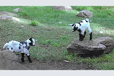 2945 County Road 4 SW #118, Cokato, MN 55321 - Photo 13