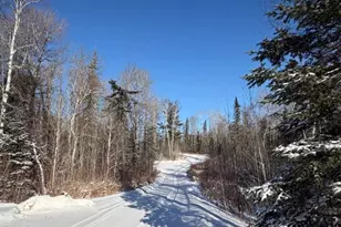 1152 Fernberg Rd, Ely, MN 55731 - Photo 19