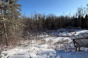 1152 Fernberg Rd, Ely, MN 55731 - Photo 17