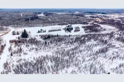 Tbd Fourtown Road NW, Grygla, MN 56727 - Photo 9