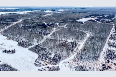 Tbd Fourtown Road NW, Grygla, MN 56727 - Photo 27