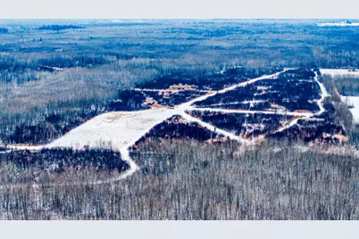 Tbd Fourtown Road NW, Grygla, MN 56727 - Photo 13