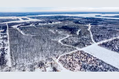 Tbd Fourtown Road NW, Grygla, MN 56727 - Photo 23