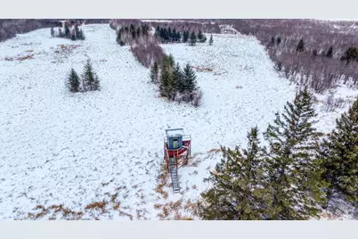 Tbd Fourtown Road NW, Grygla, MN 56727 - Photo 19